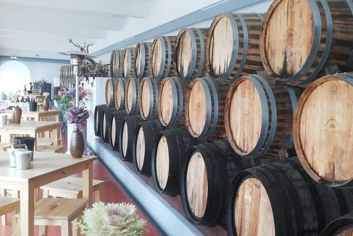 Lisbon to Setúbal Wine Tour: Palmela Castle, Arrábida & Traditional Wineries