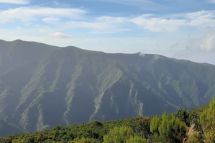 Levada dos Cedros to Fanal: VIP Walk Through Madeira's Ancient Cedars photo 6