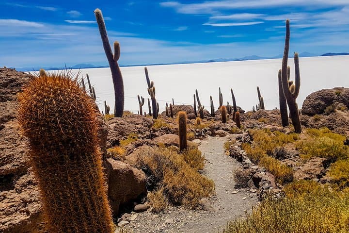 3-Day Uyuni Salt Flats & Eduardo Avaroa 4x4 Adventure photo 2