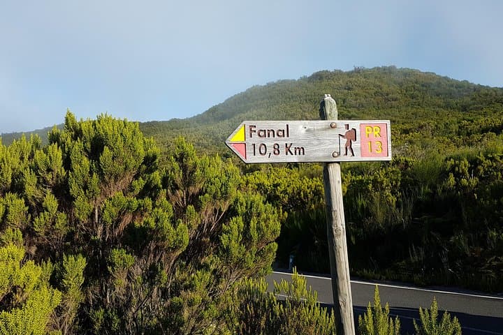 Vereda Fanal PR13 — Private Guided Walk on Paul da Serra, Madeira photo 2