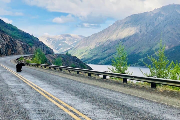 Skagway to Emerald Lake: Luxury SUV Shore Excursion to Yukon’s Emerald Waters