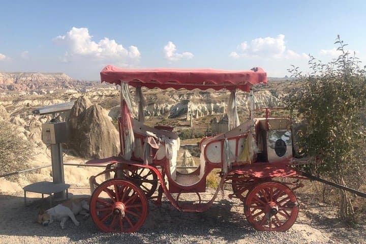 Cappadocia North Tour: Devrent, Paşabağı, Avanos & Göreme Open-Air Museum photo 4