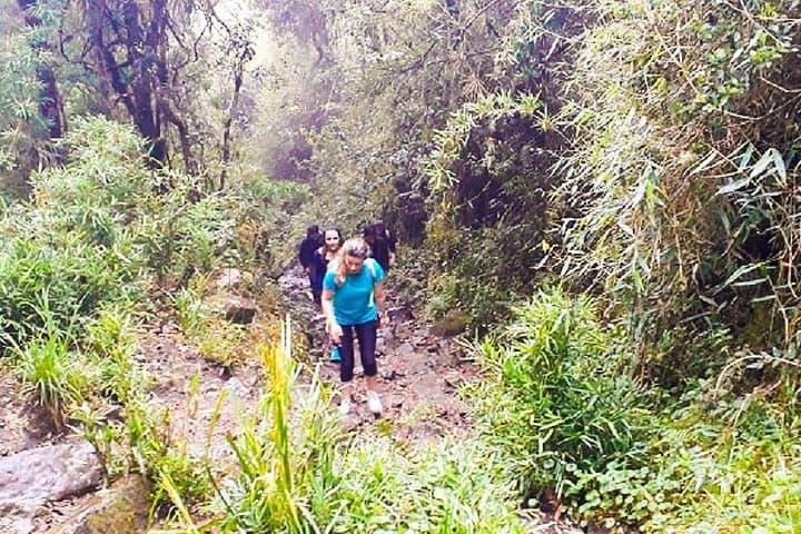 Hike Cerro de las Tres Viejas from Bogotá — Full‑Day Páramo Trek to Tominé Reservoir Views photo 4