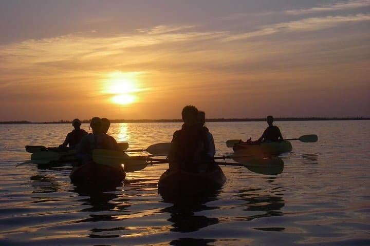 Sunset Kayaking at Titusville Wildlife Refuge — Manatees, Dolphins & Bioluminescence photo 3