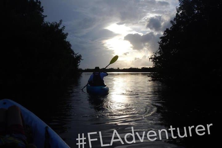 Sunset Kayaking at Titusville Wildlife Refuge — Manatees, Dolphins & Bioluminescence photo 4