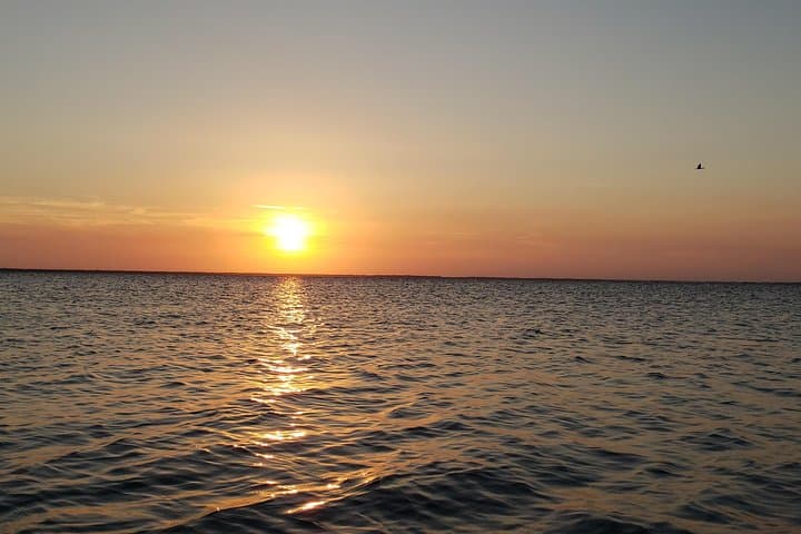Sunset Kayaking at Titusville Wildlife Refuge — Manatees, Dolphins & Bioluminescence photo 5