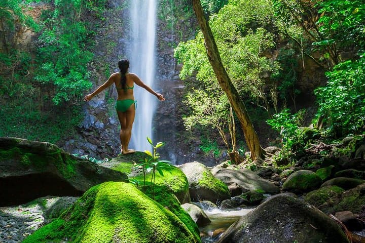 Paddle to Sacred Falls: Wailua River Kayak and Guided Hike with Lunch