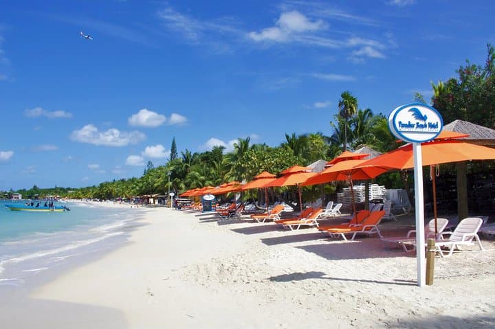 Roatán Zipline, High-Point Island Tour & West Bay Beach Break photo 6