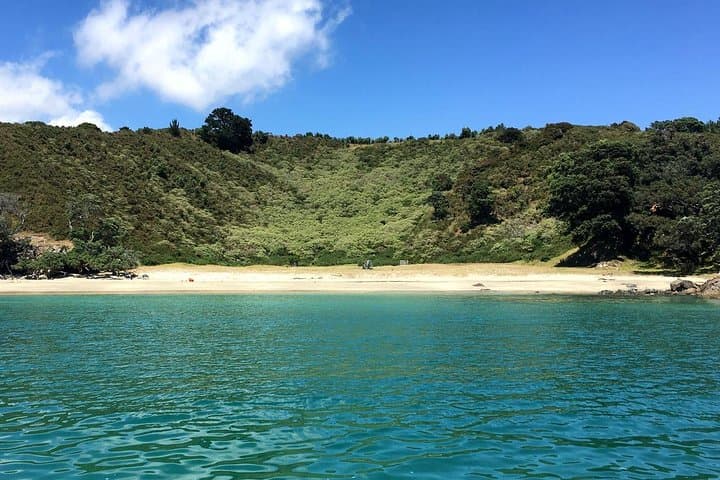 Waiheke Island Bush & Beach Walk — Half-Day Coastal Hike from Auckland