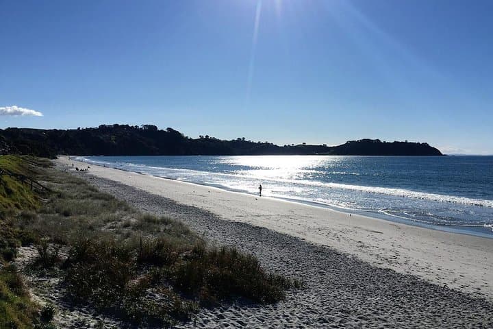 Waiheke Island Bush & Beach Walk — Half-Day Coastal Hike from Auckland photo 3