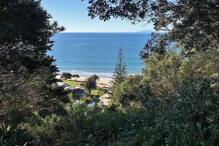 Waiheke Island Bush & Beach Walk — Half-Day Coastal Hike from Auckland photo 5
