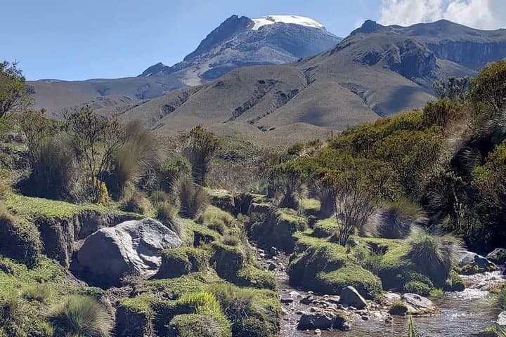 Paramo de Romerales: Two-Day High-Altitude Trek from Salento photo 3