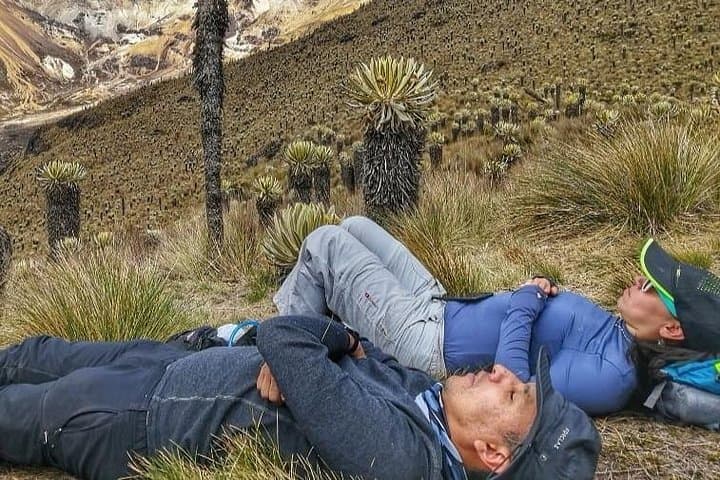 Paramo de Romerales: Two-Day High-Altitude Trek from Salento