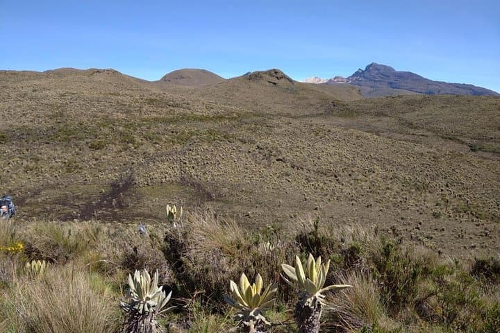 Paramo de Romerales: Two-Day High-Altitude Trek from Salento photo 2