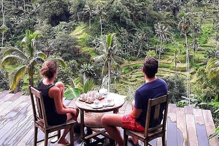 Day Trip from Ubud: Rice Terrace Swing, Waterfall & Artisan Villages