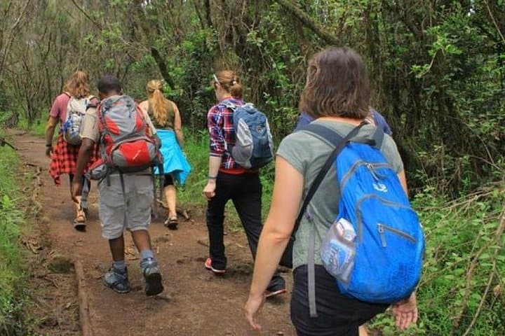 One-Day Mount Kilimanjaro Hike — See Africa’s Highest Peak from Arusha photo 4