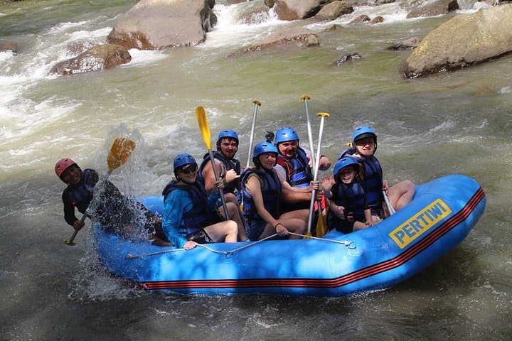 Ayung River White-Water Rafting in Bali — 2.5-Hour Adventure with Lunch & Transfer