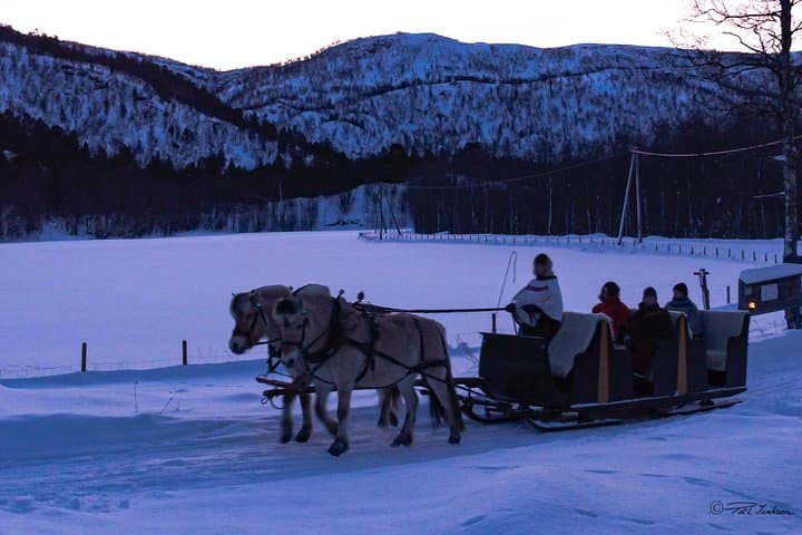 Alta Sleigh Ride & Sami Lavvo Tapas at Omdal Farm photo 5