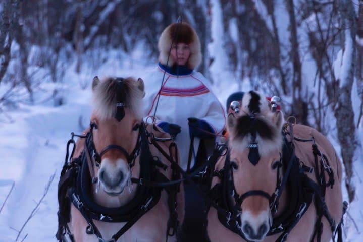 Alta Sleigh Ride & Sami Lavvo Tapas at Omdal Farm