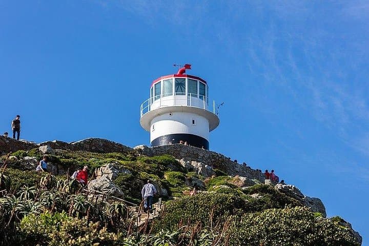 Cape Peninsula Day Tour: Cape Point, Penguins & Kirstenbosch in One Day photo 3