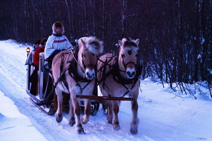 Alta Sleigh Ride: Horse-Drawn Farm Experience & Sami Lavvo Snacks photo 4