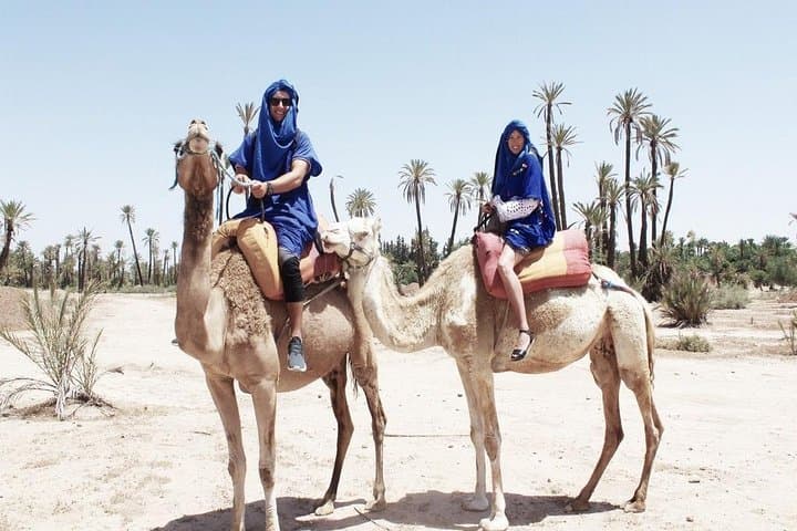 Sunset Camel Ride in Marrakech Palmeraie — Palm Grove Camel Tour & Berber Tea photo 2