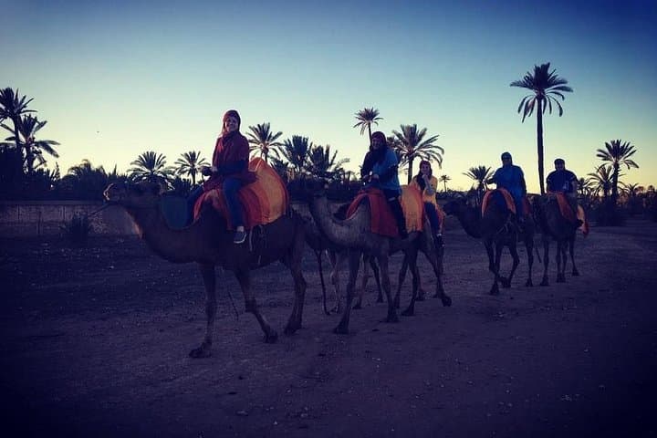 Sunset Camel Ride in Marrakech Palmeraie — Palm Grove Camel Tour & Berber Tea photo 6
