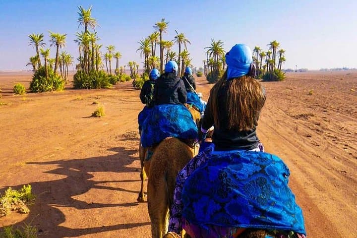 Sunset Camel Ride in Marrakech Palmeraie — Palm Grove Camel Tour & Berber Tea