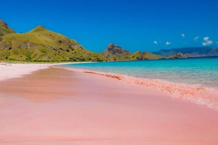 1-Day Komodo Private Fast-Boat: Padar, Komodo Dragons, Pink Beach & Mantas photo 3