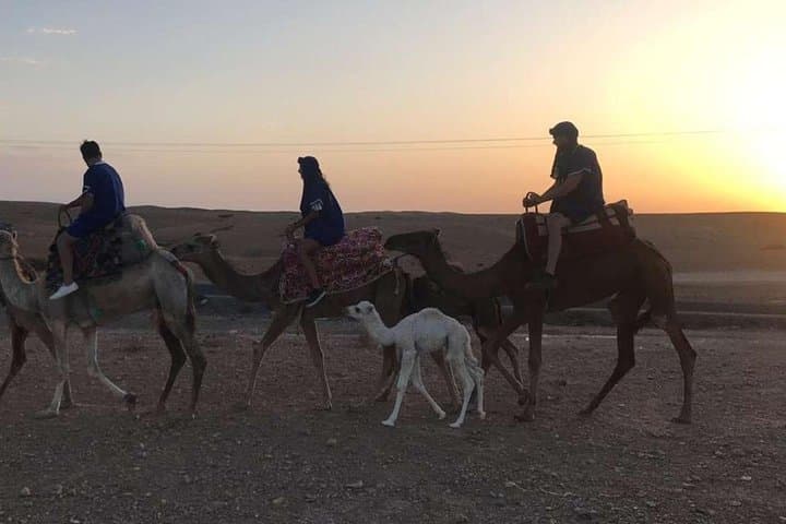 Quad Biking and Sunset Camel Ride in Agafay Desert with Berber Dinner