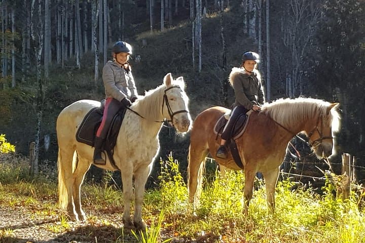 Trail Riding in Gesäuse National Park: Day Ride Through Alpine Pastures photo 2
