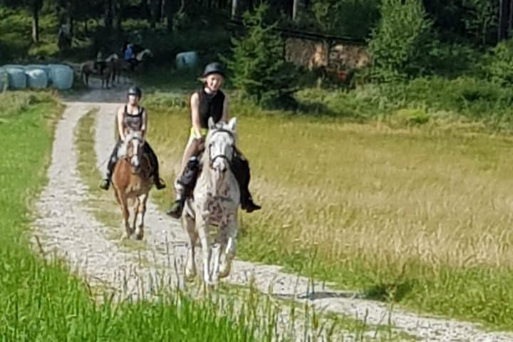 Trail Riding in Gesäuse National Park: Day Ride Through Alpine Pastures photo 3