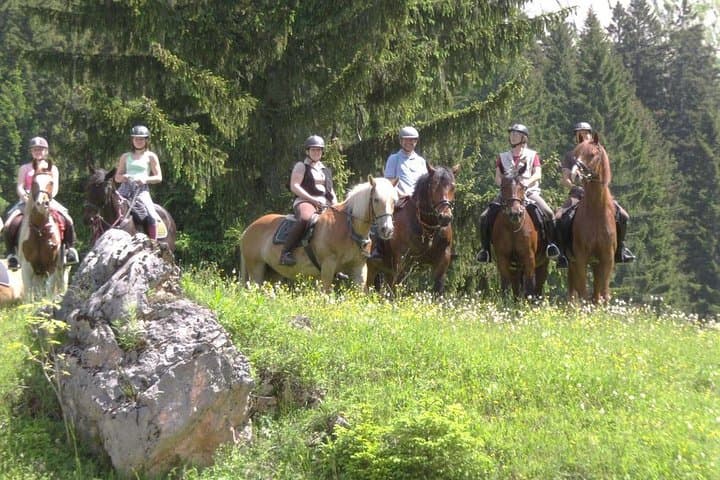 Trail Riding in Gesäuse National Park: Day Ride Through Alpine Pastures photo 4