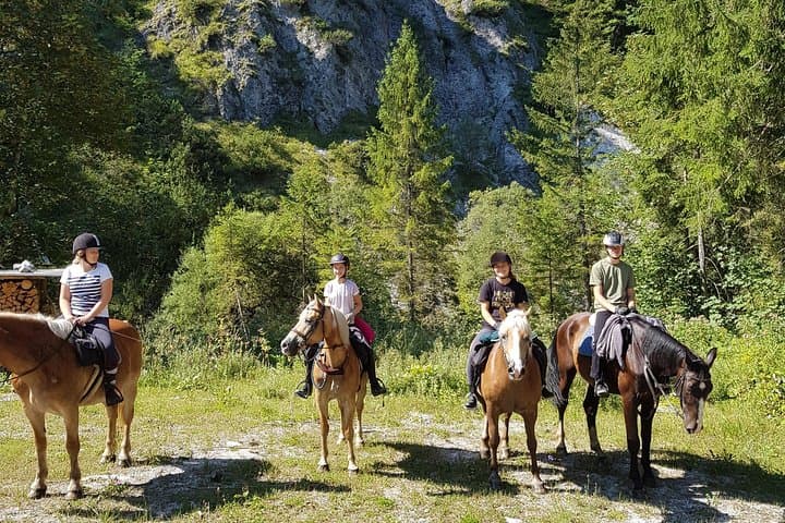 Trail Riding in Gesäuse National Park: Day Ride Through Alpine Pastures photo 5