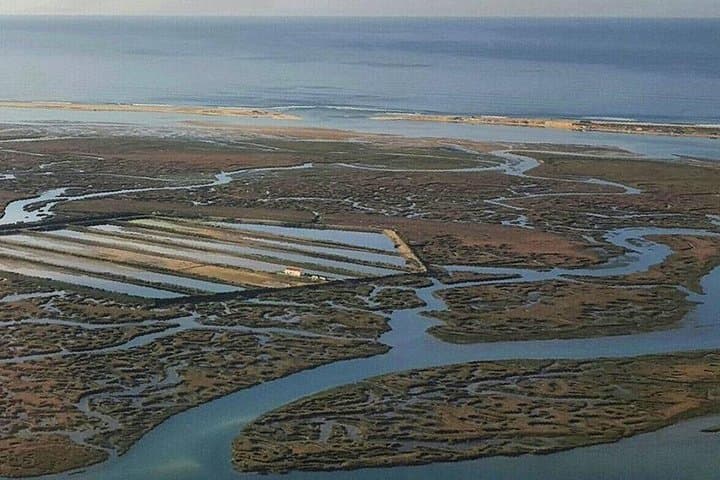 Ria Formosa Surf & SUP: Boat Trip, Beginner Surf Lessons and Stand-Up Paddle near Faro photo 5