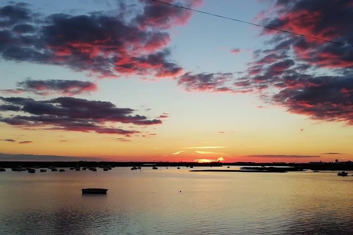Ria Formosa Surf & SUP: Boat Trip, Beginner Surf Lessons and Stand-Up Paddle near Faro photo 6