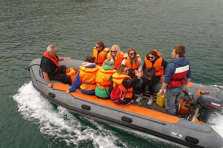 Dingle to Great Blasket Island Ferry — Day Trip to Ireland's Marine National Park photo 3