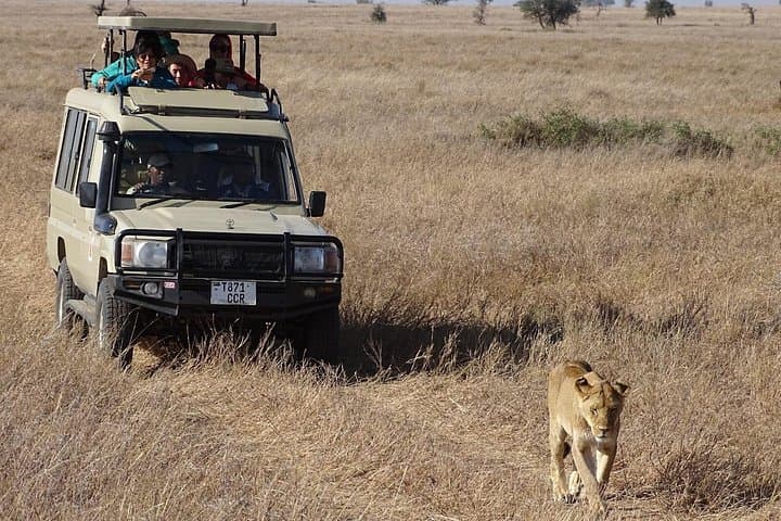 Budget 4-Day Serengeti & Ngorongoro Camping Safari from Arusha photo 2