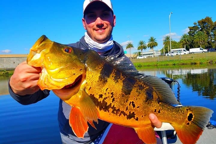 Peacock Bass Fishing in Boynton Beach — Private Guided Boat Trip (4–8 hrs) photo 4