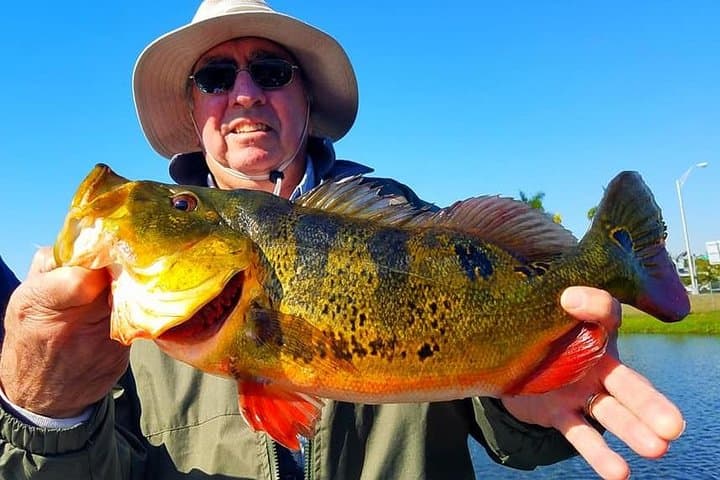 Peacock Bass Fishing in Boynton Beach — Private Guided Boat Trip (4–8 hrs) photo 5