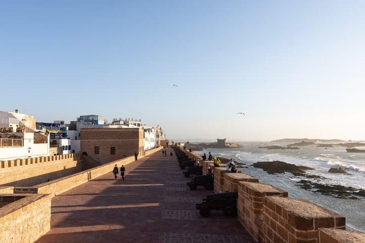 Essaouira Mogador Camel Expedition: Private Coastal Camel Trek from Marrakech photo 6