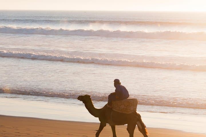 Agadir 2-Hour Camel Ride: Beach, Trails & Sunset at Amodou Ranch