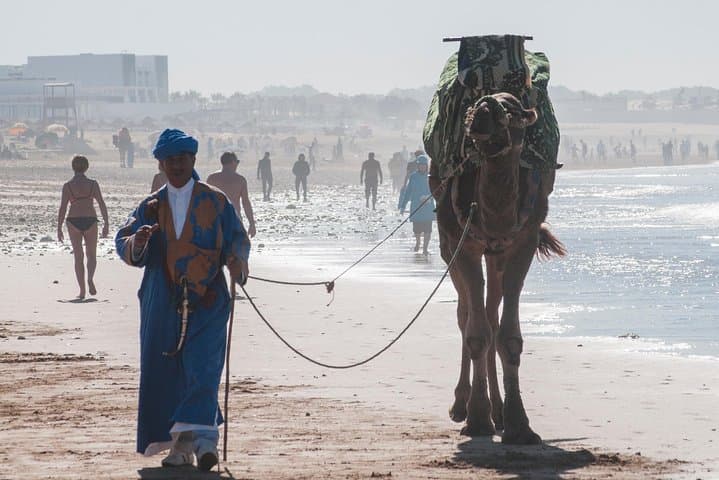 Agadir 2-Hour Camel Ride: Beach, Trails & Sunset at Amodou Ranch photo 6