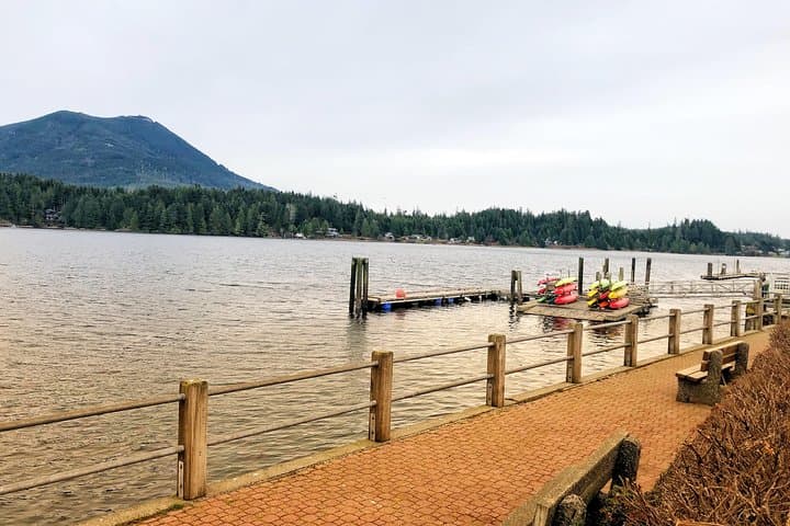 Vancouver to Nanaimo Harbour: Scenic Day Tour Across the Salish Sea