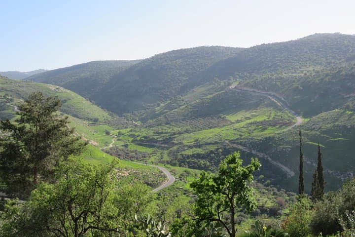 Discover Jordan: 7-Day Cultural and Desert Adventure from Amman photo 4