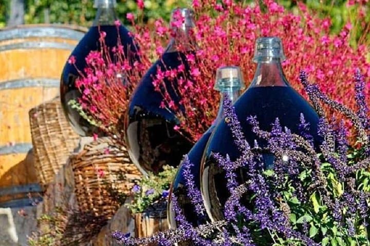 Half-Day Saint-Paul-de-Vence & Provence Wine Tasting from Nice photo 6