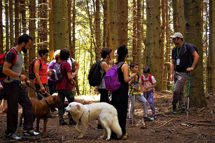 In Leonardo's Footsteps: Vinci Hills Walk, Wine Cellar & Museums photo 3