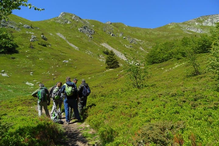In Leonardo's Footsteps: Vinci Hills Walk, Wine Cellar & Museums photo 4