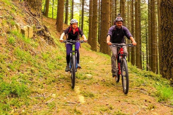 Mountain Biking in Acquerino Nature Reserve: Forest Trails & Farmhouse Lunch photo 4