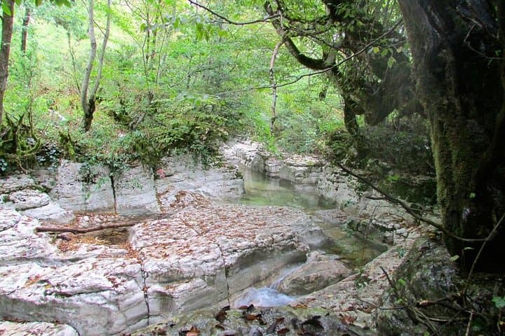 Prometheus Cave & Martvili Canyon Day Trip from Tbilisi — Cave Tours and Canyon Boat Ride photo 4